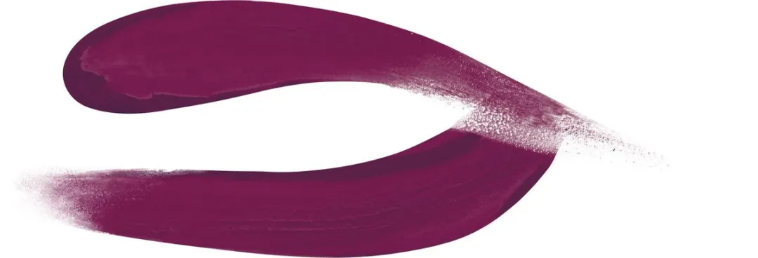 Bourjois Rouge Edition Velvet Lippenstift 14 Plum Plum Girl