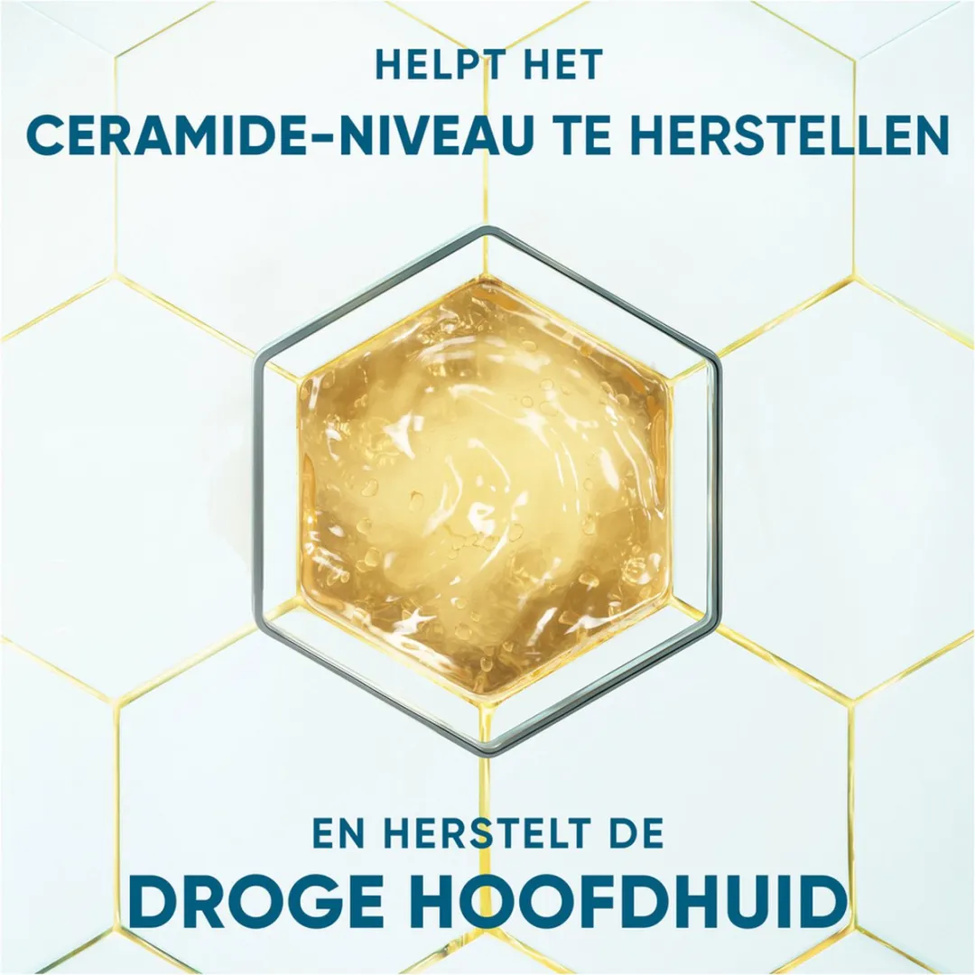Head & Shoulders DermaXPro Anti-roos Shampoo Cafeïne - 6x250ml