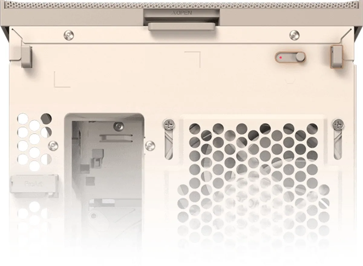 ASUS ProArt PA401 Wood Edition Beige