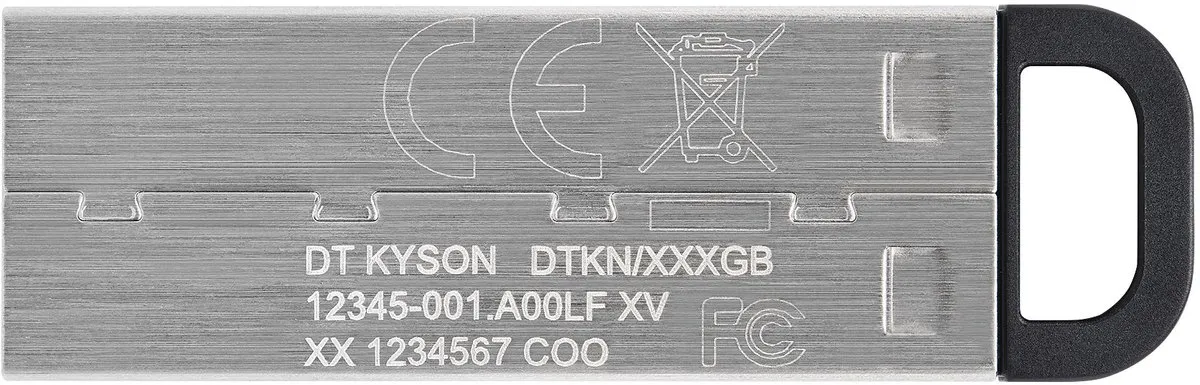 Kingston DataTraveler Kyson DTKN/256GB USB Stick 256GB - Zilver