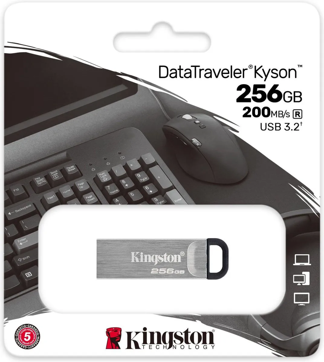 Kingston DataTraveler Kyson DTKN/256GB USB Stick 256GB - Zilver