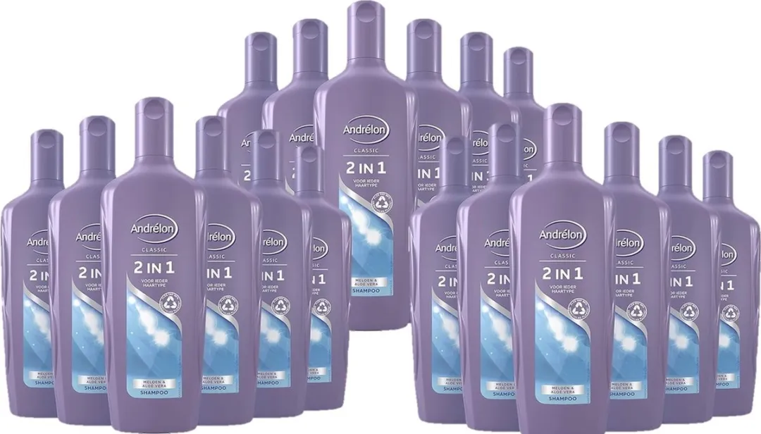 Andrélon Shampoo 2in1 300ml