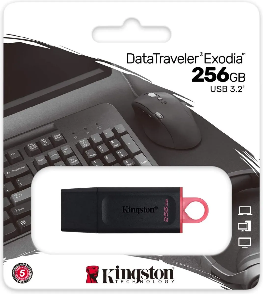 Kingston DataTraveler Exodia DTX/256GB USB-stick 256GB - Zwart