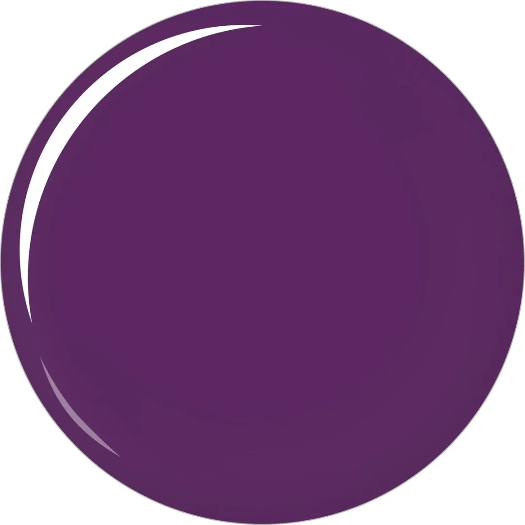 L'Oréal Paris Color Riche Le Vernis 502 Purple Disturbia - 5ml