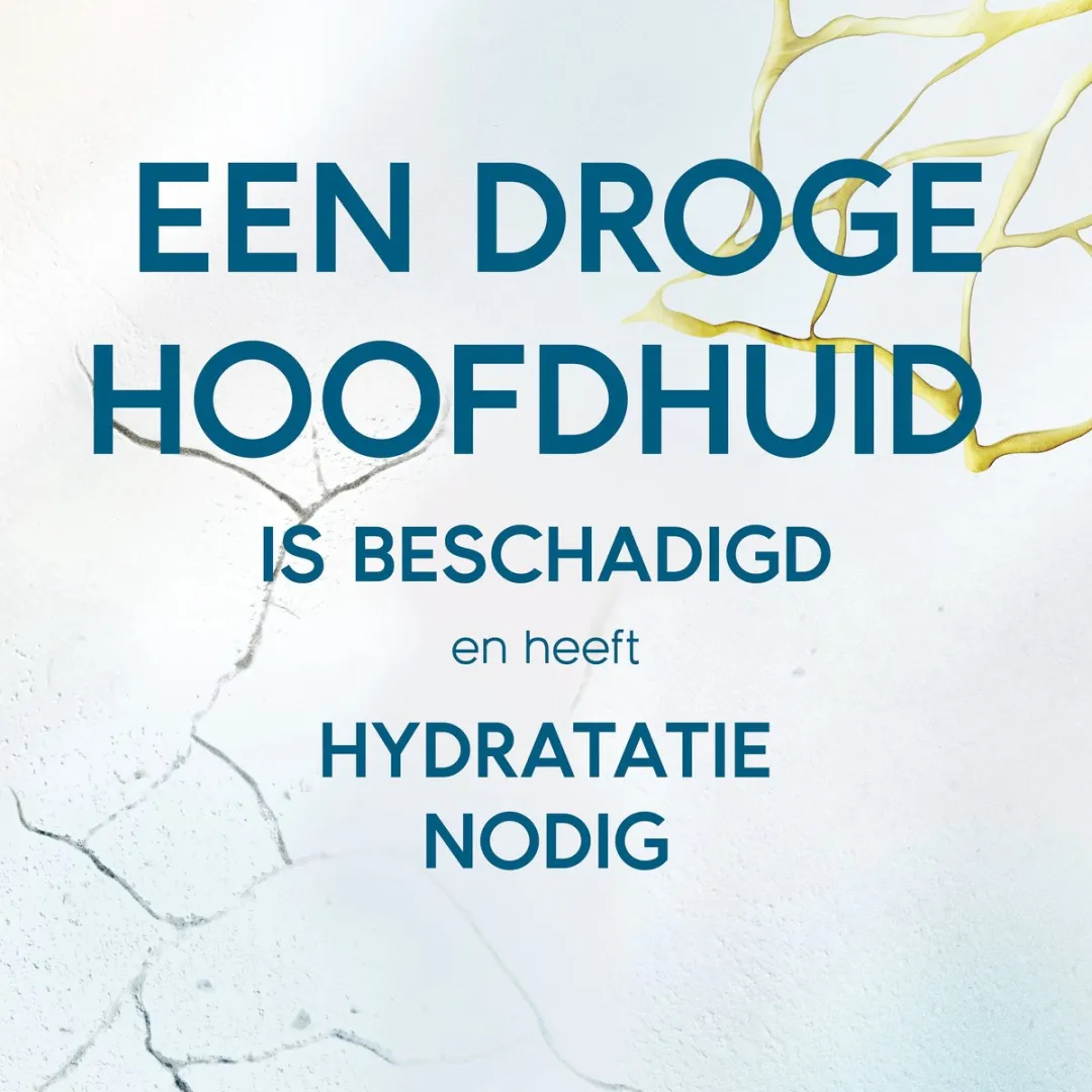 Head & Shoulders Dermaxpro Hoofdhuidbalsem 145ml - 6 Stuks