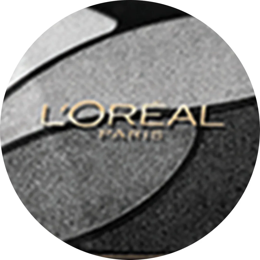L'Oréal Paris Color Riche Les Ombres Quad E5 Velour Noir Oogschaduw - 4 Kleuren