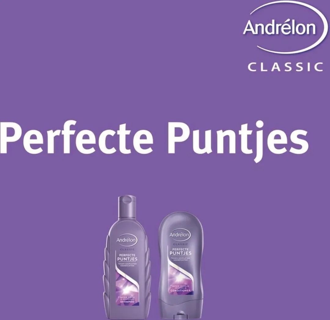 Andrélon Conditioner Perfecte Puntjes 300ml - 6 Stuks