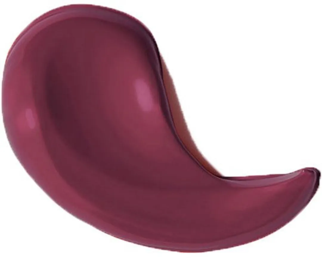 L'Oréal Paris Les Macarons Lipstick 830 Blackcurrant Crush - 6,7 ml