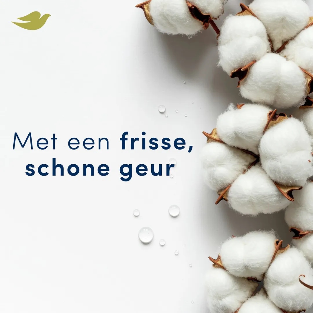 Dove Deodorant Spray Fresh Care+ 0% Aluminiumzouten - 6x150ml