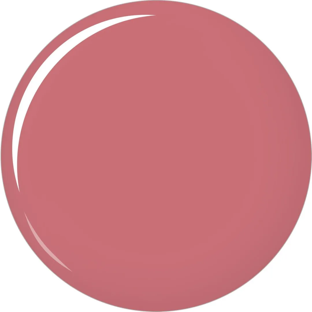 L'Oréal Infallible Le Gloss Dazzle Lipgloss 206 - 8ml
