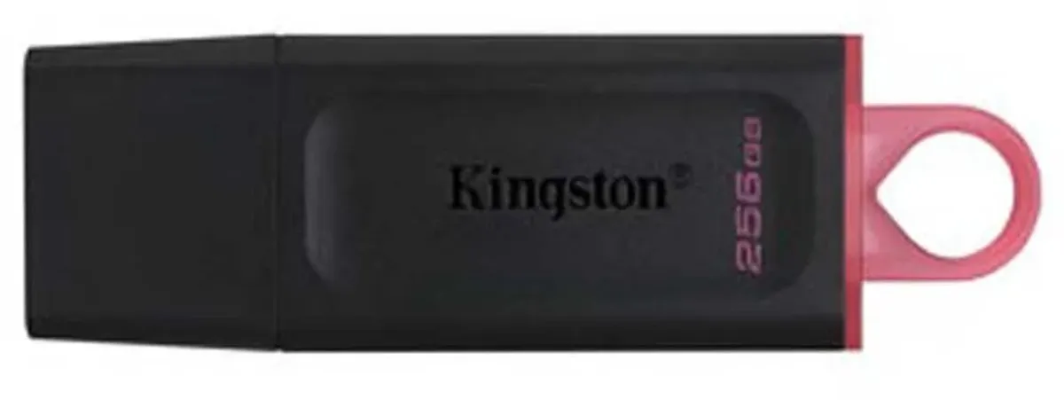 Kingston DTX/256GB USB-stick 256GB - Zwart