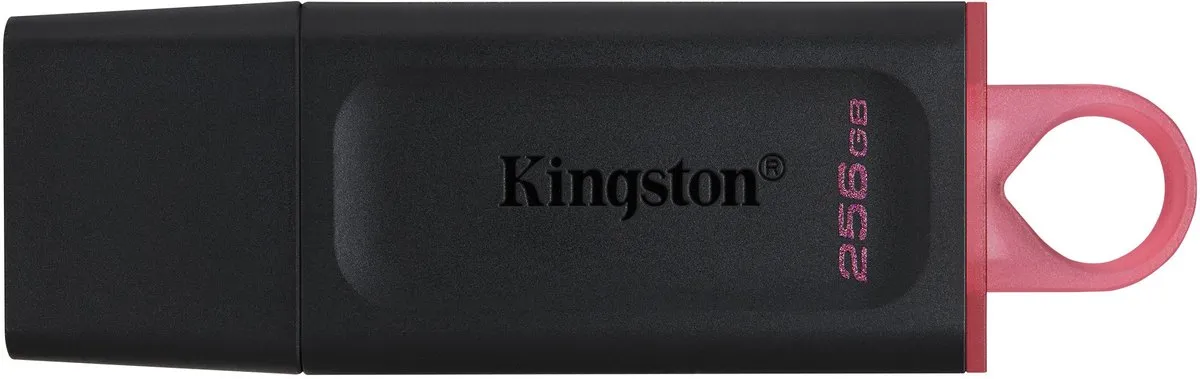 Kingston DTX/256GB USB-stick 256GB - Zwart