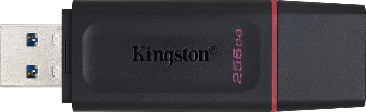 Kingston DTX/256GB USB-stick 256GB - Zwart