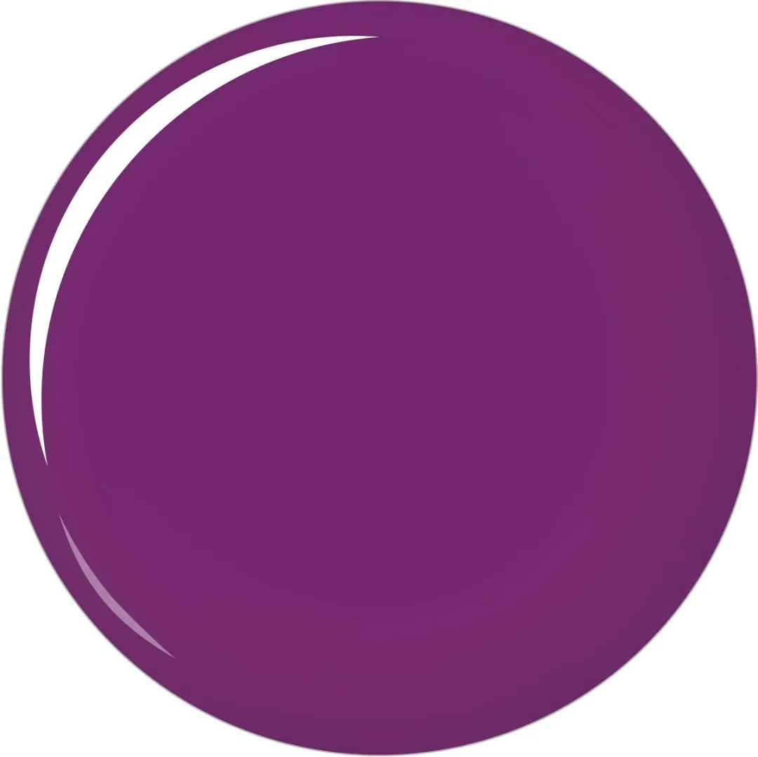 L'Oréal Paris Color Riche Le Vernis à L'Huile 332 Violet Vendôme Nagellak