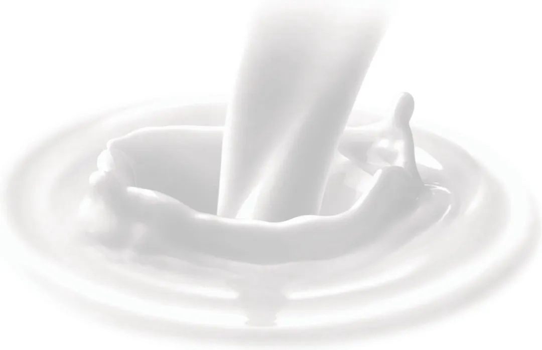 Dove Bodylotion Intense Care - 24x400ml