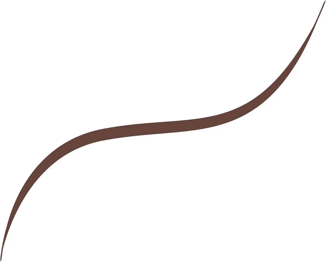 L'Oréal Paris Infallible Grip 36H Eyeliner Smokey Earth