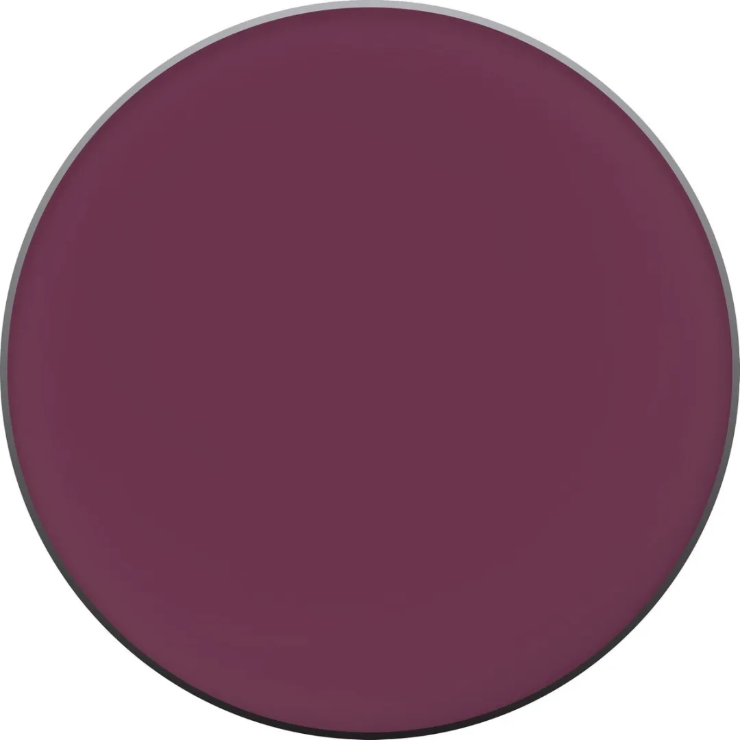 L'Oréal Paris Make-Up Designer Infallible Eye Paint 207 Sassy Squad Oogschaduw - 7ml