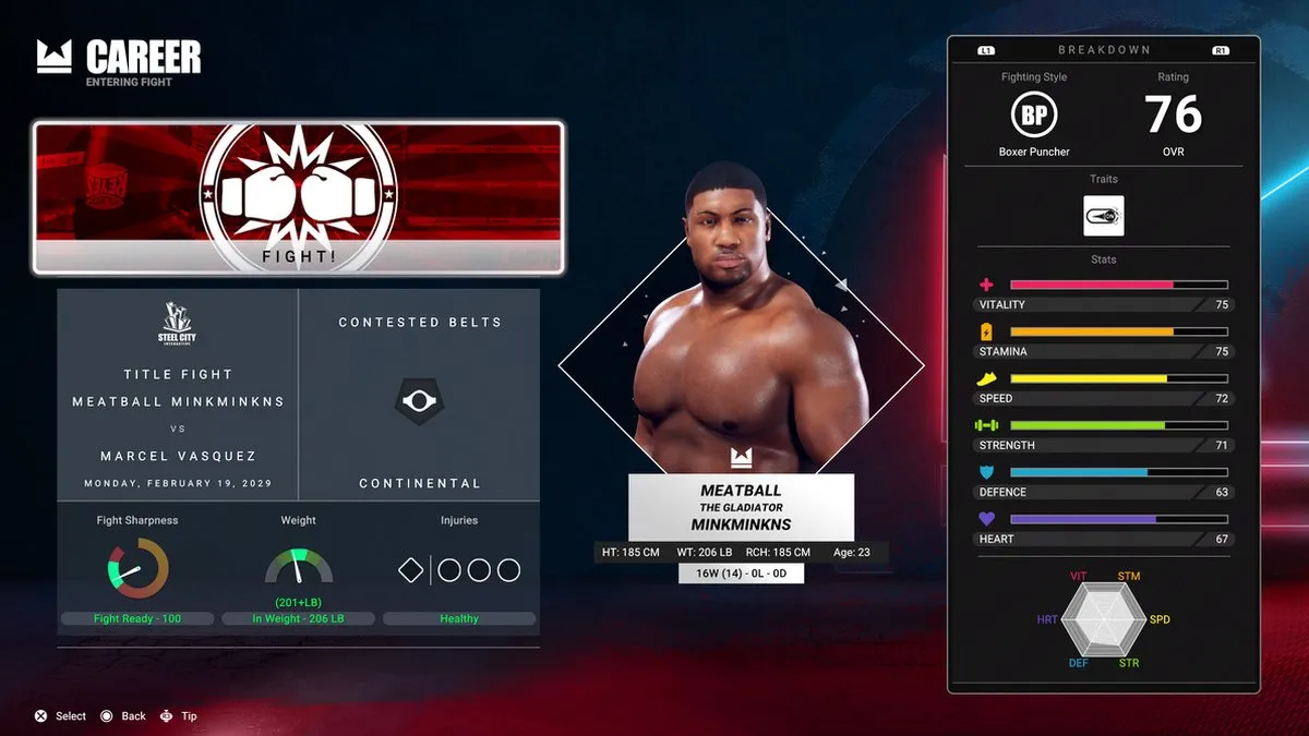Plaion Undisputed Deluxe WBC Edition Xbox Series X