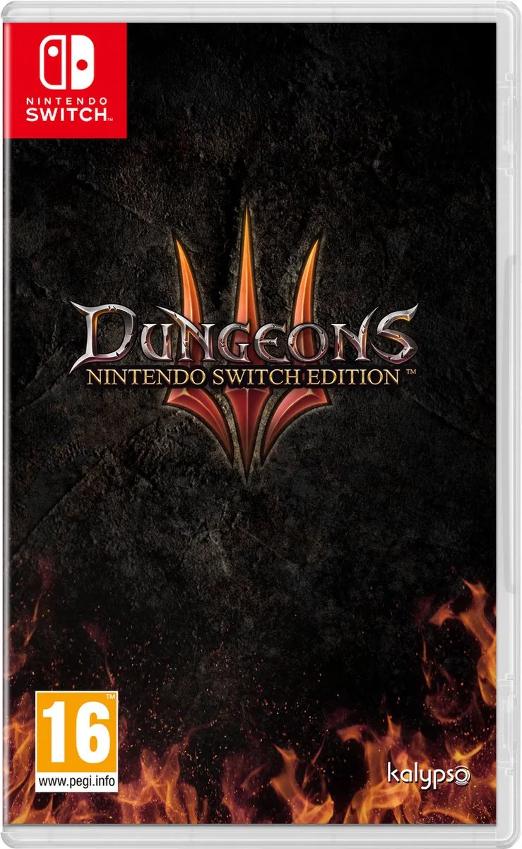 Plaion Dungeons 3 Nintendo Switch Edition
