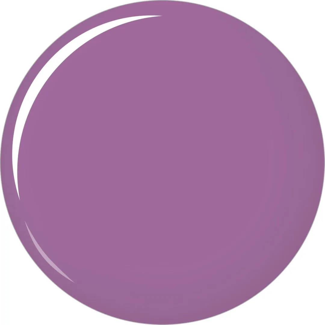 L'Oréal Studio Secrets Pro Lip Tint Plum - 4.5g