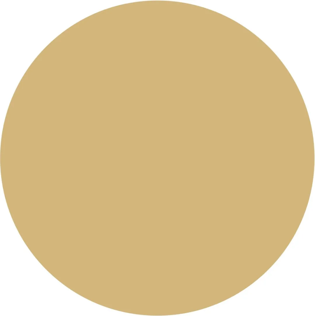 L'Oréal Paris Infallible Eye Paint Oogschaduw 201 Golden Eye - 20ml