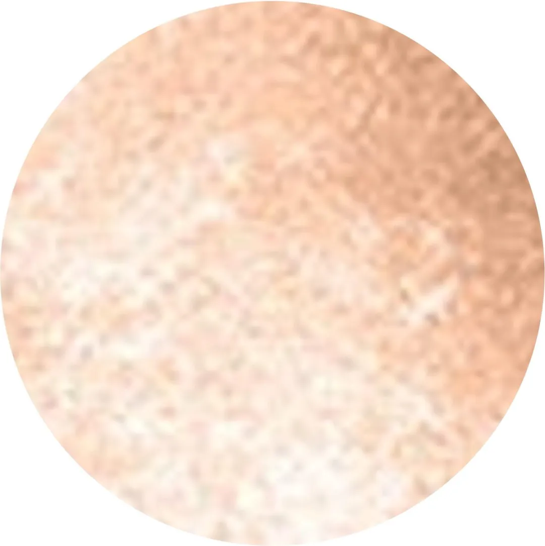 Bourjois New Round Pot Oogschaduw 10 Beige Paillettes