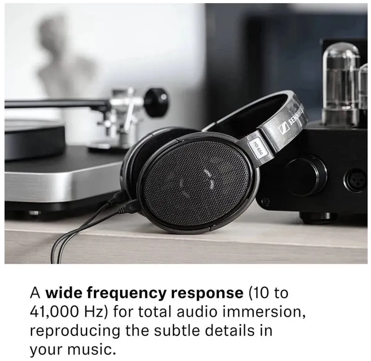 Sennheiser HD 650 Koptelefoon - Zwart