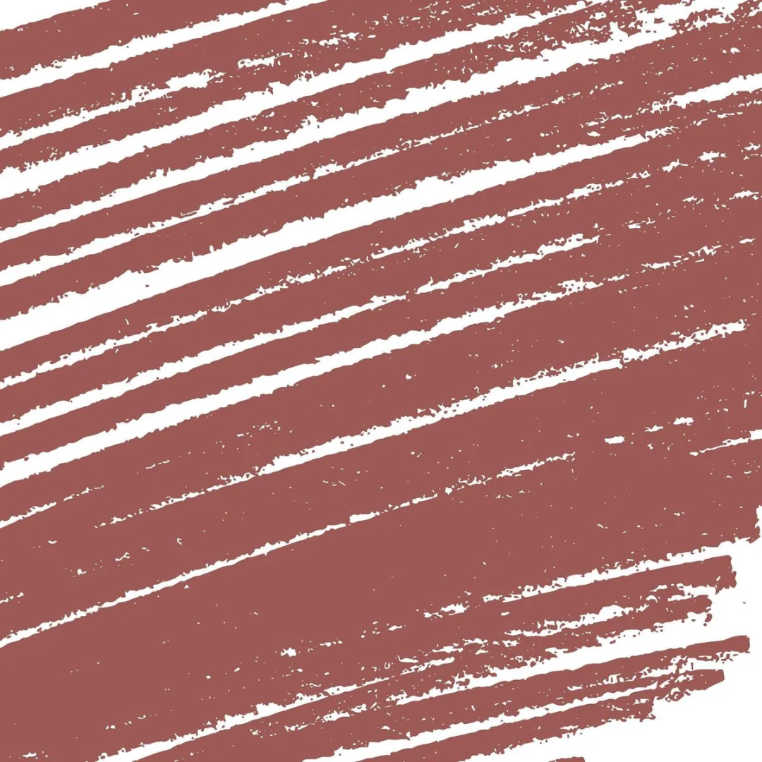 L'Oréal Paris Color Contour Parfait Lippotlood 666 Cachmere - 4g