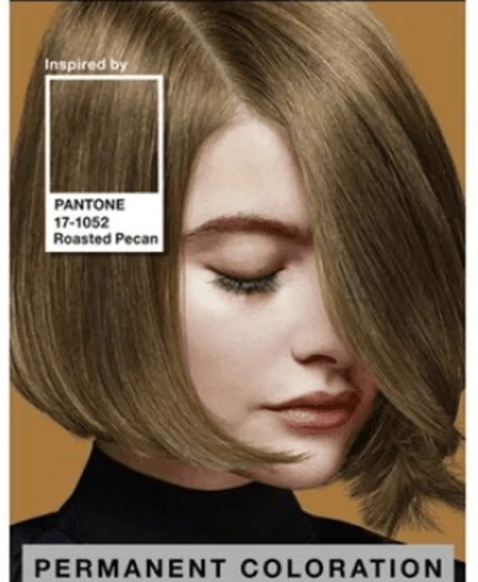 SYOSS Pantone 6-66 Roasted Pecan Haarverf - 2x230ml