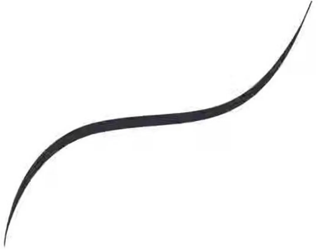 L'Oréal Paris Infallible Grip Micro Fine Brush Vloeibare Eyeliner 01 Obsedienn - 0.4g