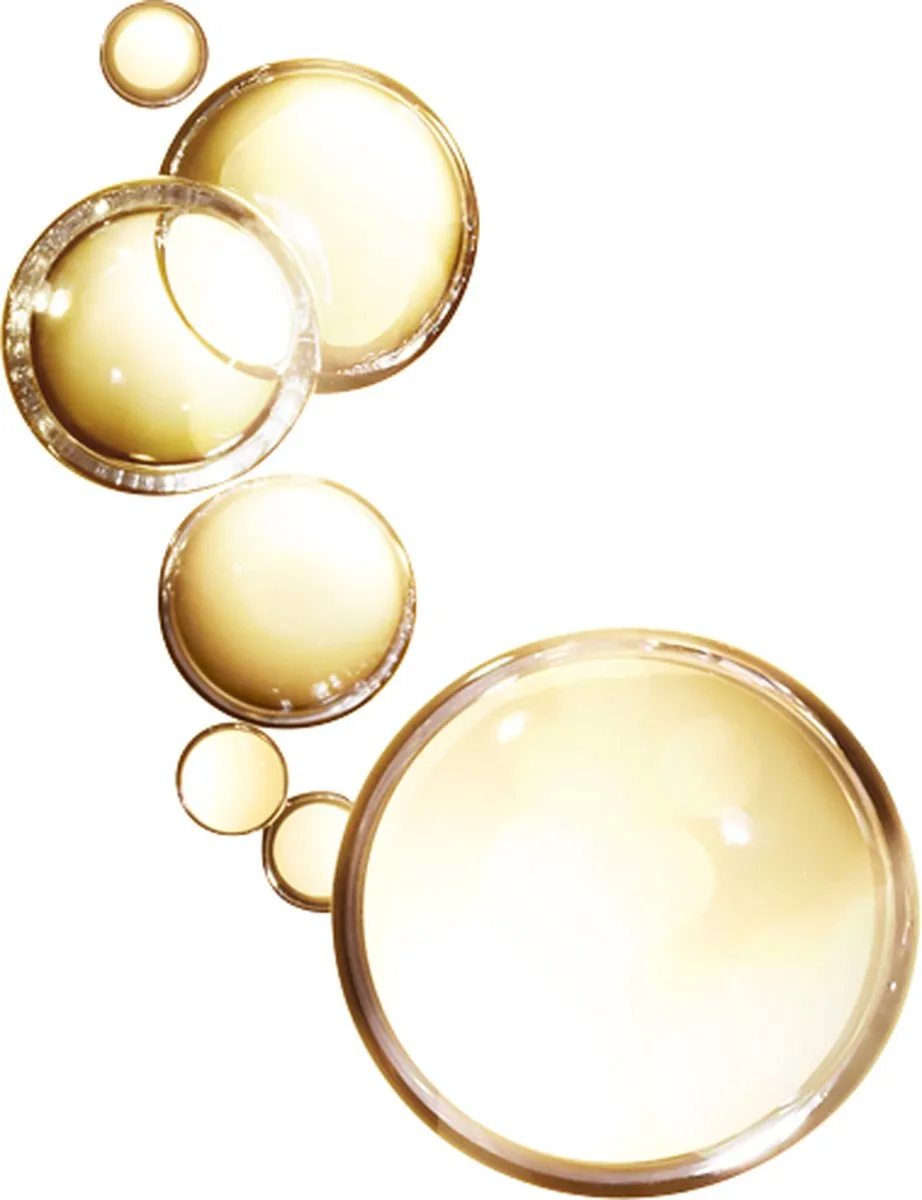 L'Oréal Paris Elvive Extraordinary Oil Haarolie 100ml