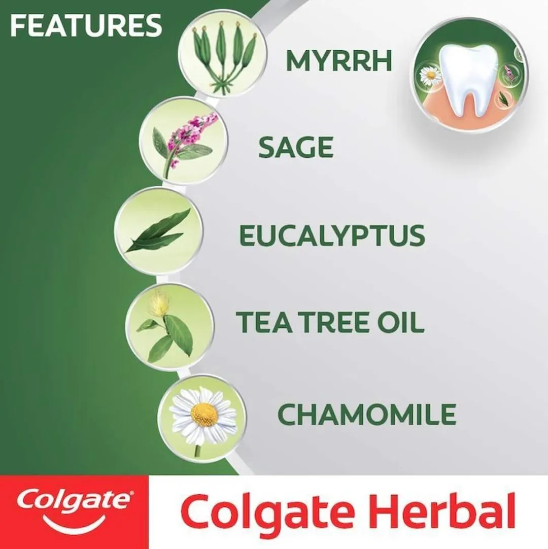 Colgate Herbal Tandpasta 12x100ml