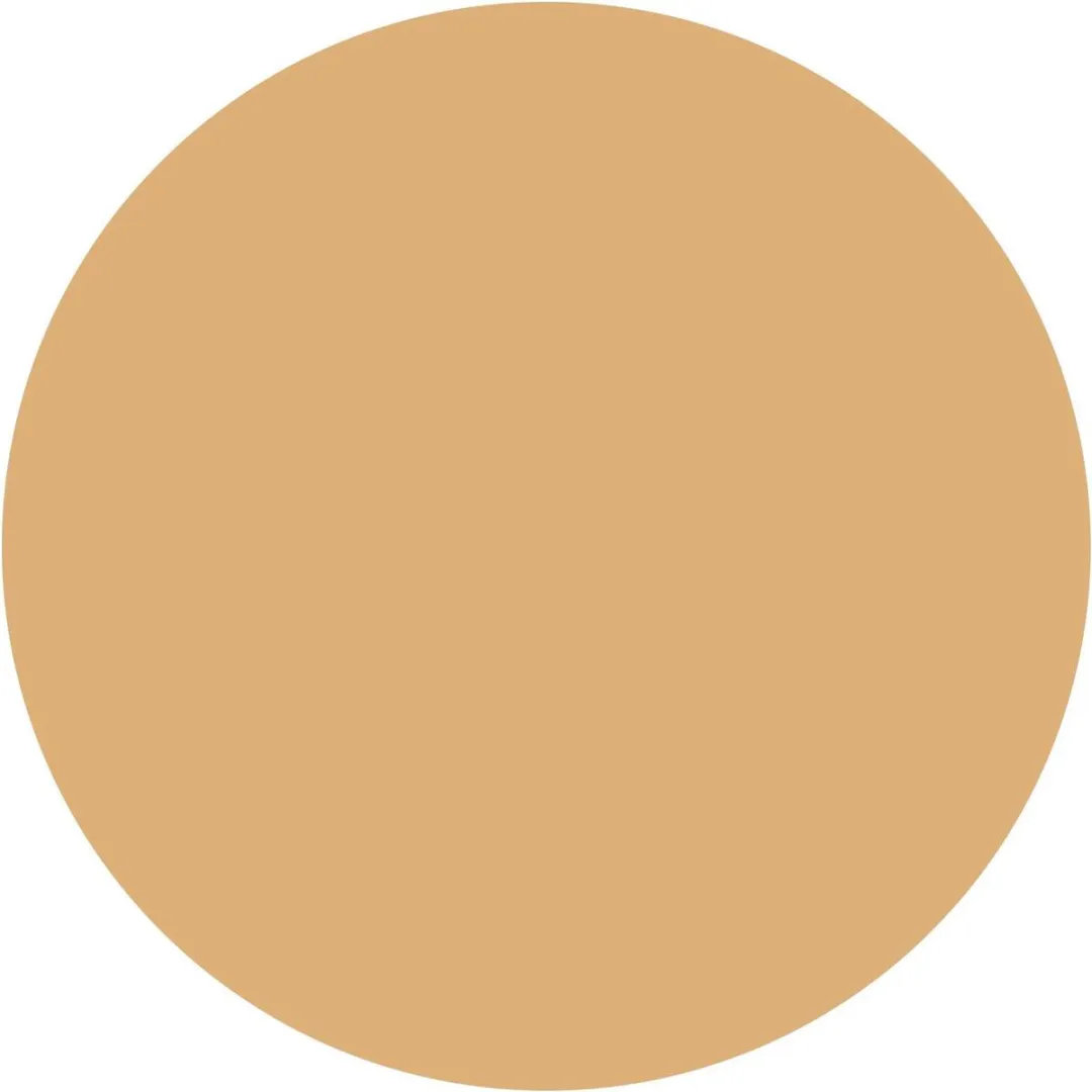 L'Oréal Paris Colorista Washout Haarverf Peach