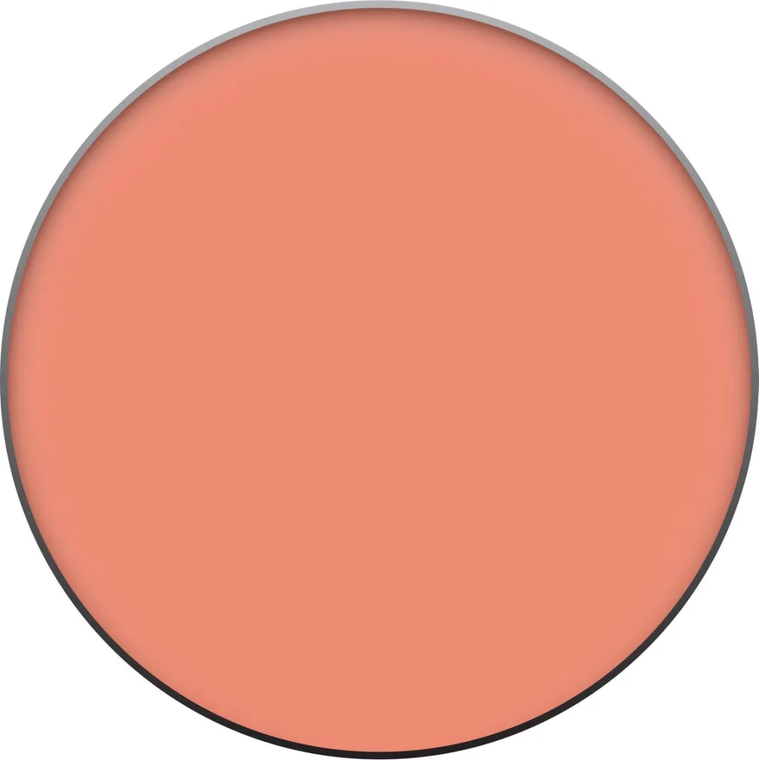 L'Oréal Paris True Match Blush 160 Pêche - 9ml