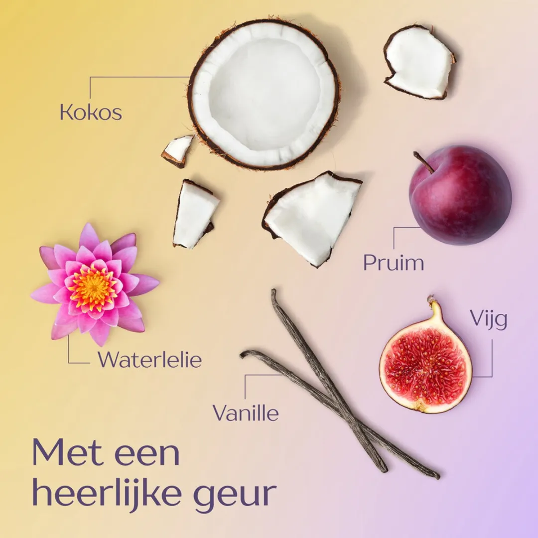 Andrélon Perfecte Krul Leave-in Crème 200ml - 24 Stuks