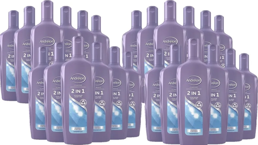 Andrélon Shampoo 2in1