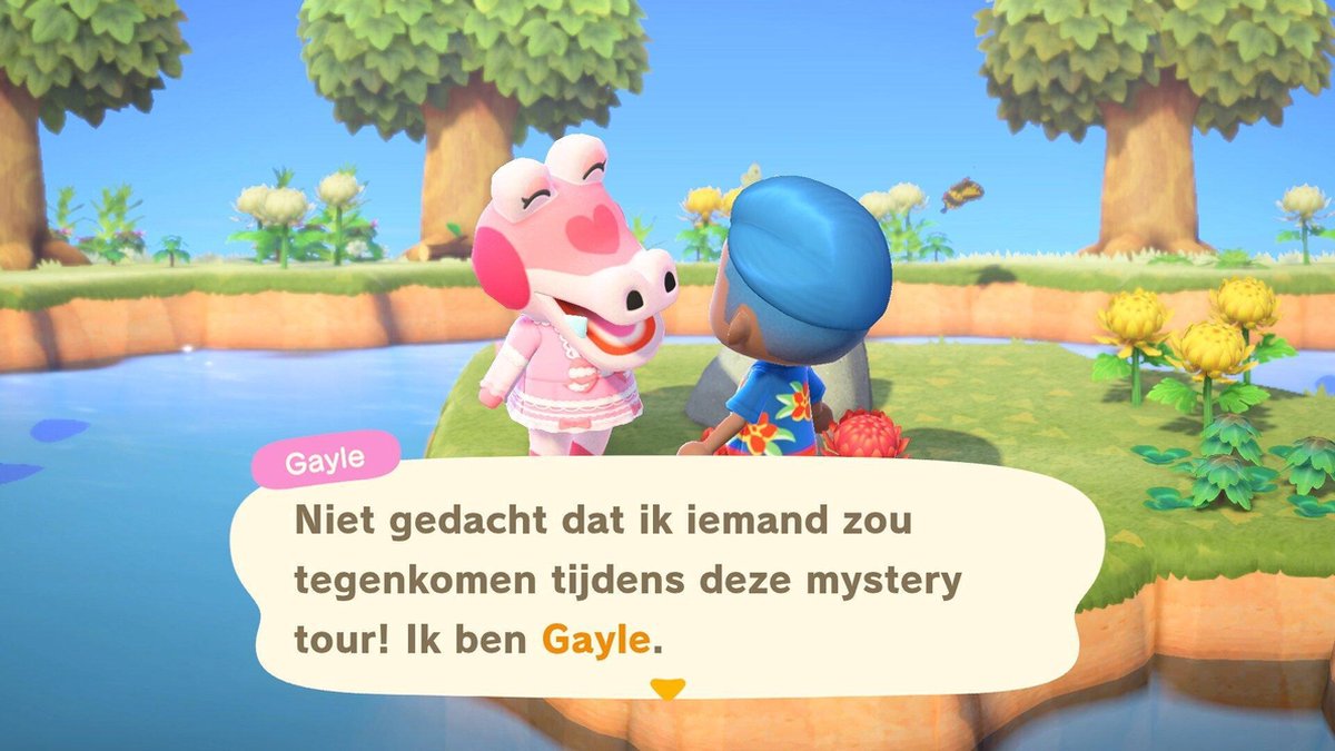 Animal Crossing: New Horizons - Nintendo Switch