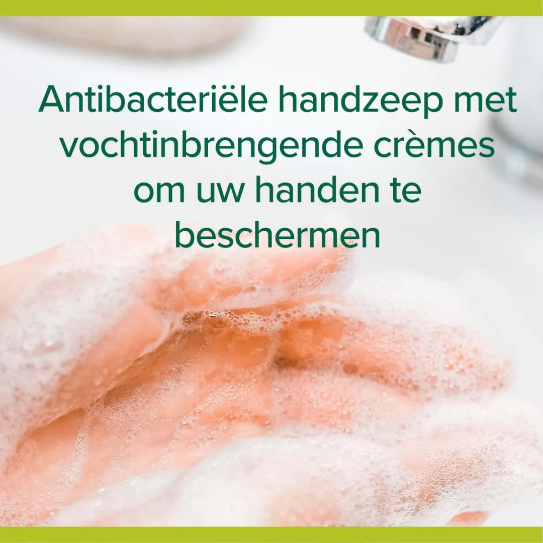 Palmolive Hygiene Plus Antibacteriële Handzeep 6x300ml