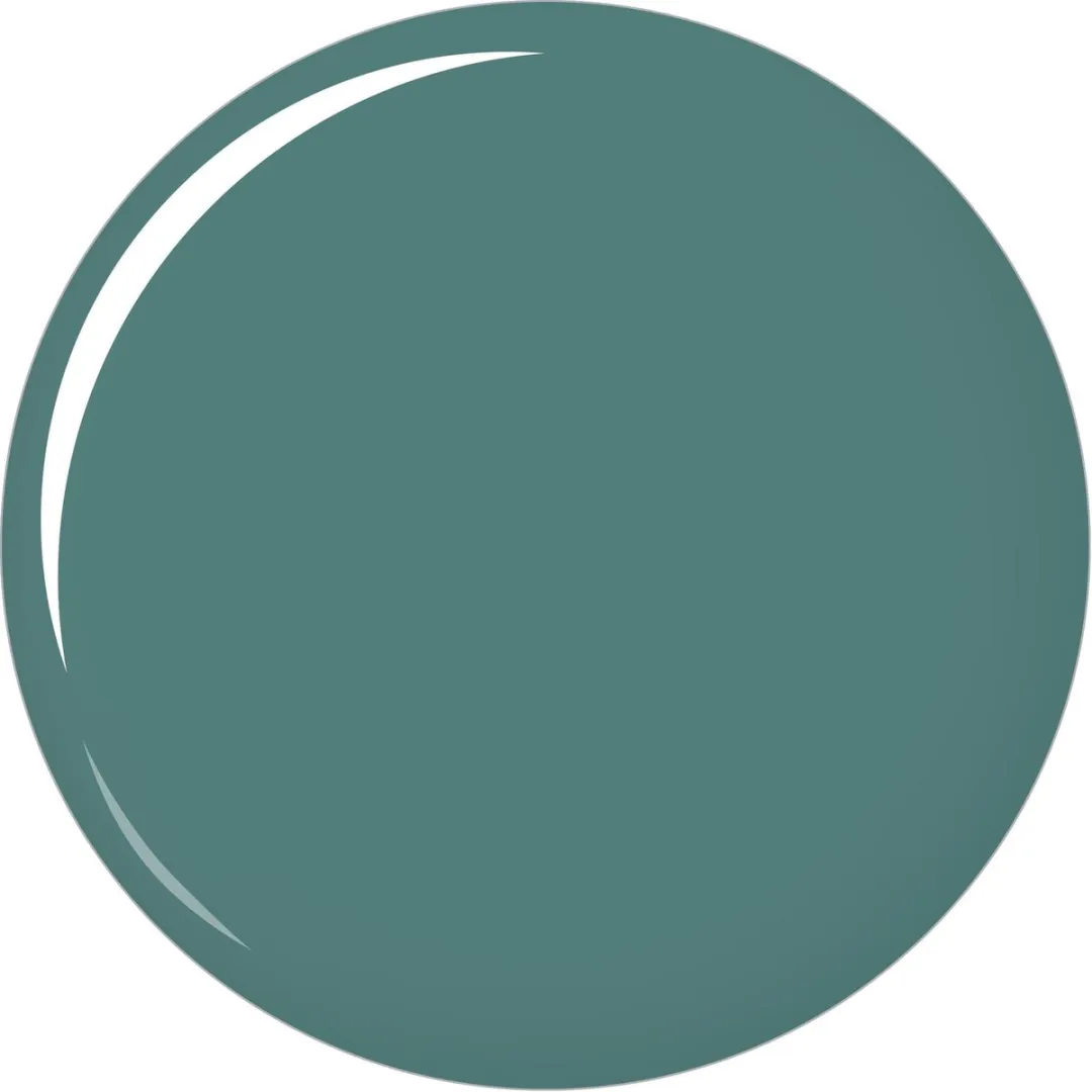L'Oréal Paris Color Riche Le Vernis 616 Innocent Green Nagellak - 5ml