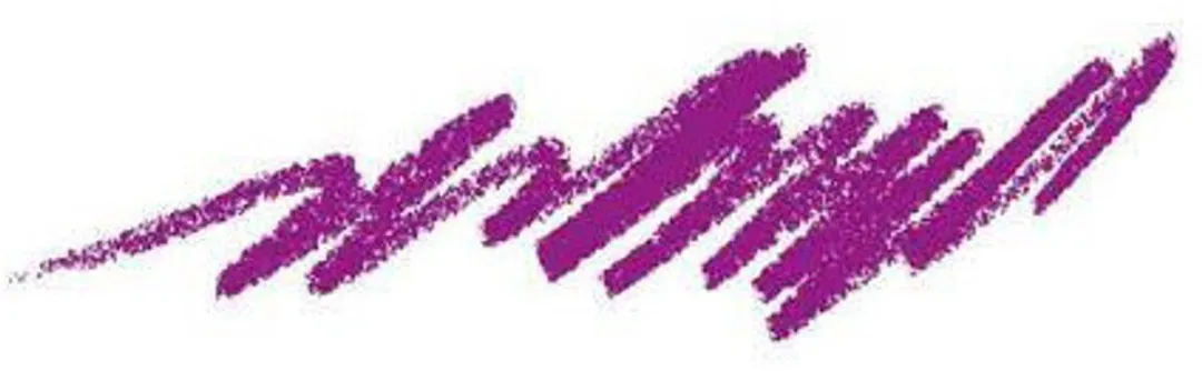 L'Oréal Paris Make-Up Designer Infallible Lip Liner 207 Wuthering Purple