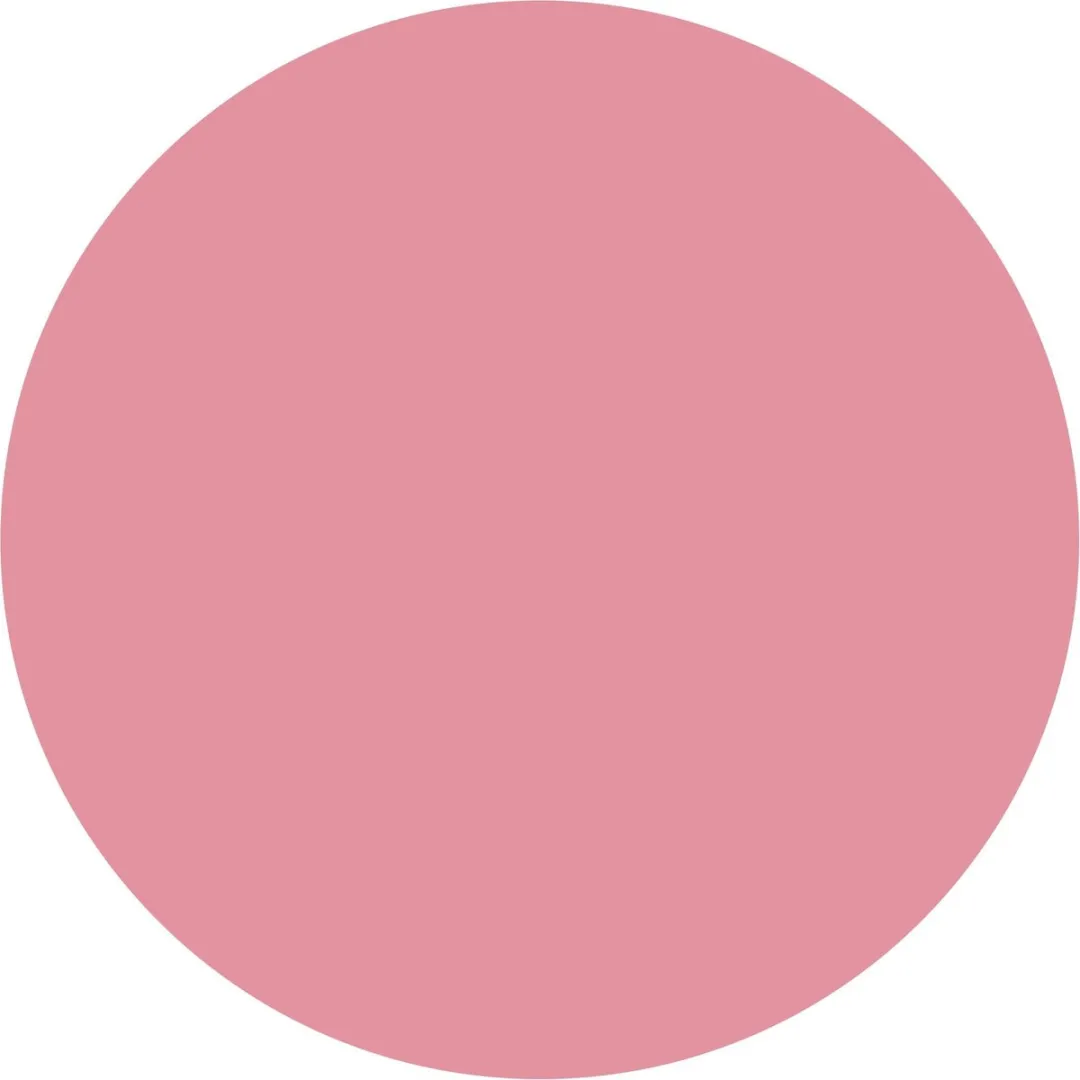 L'Oréal Paris Color Riche Matte Lippenstift 104 Roze