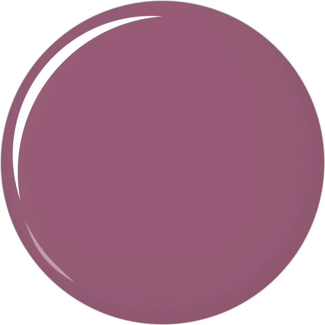 Bourjois Rouge Fabuleux Lippenstift 15 Plum Plum Pidou - 2.4g