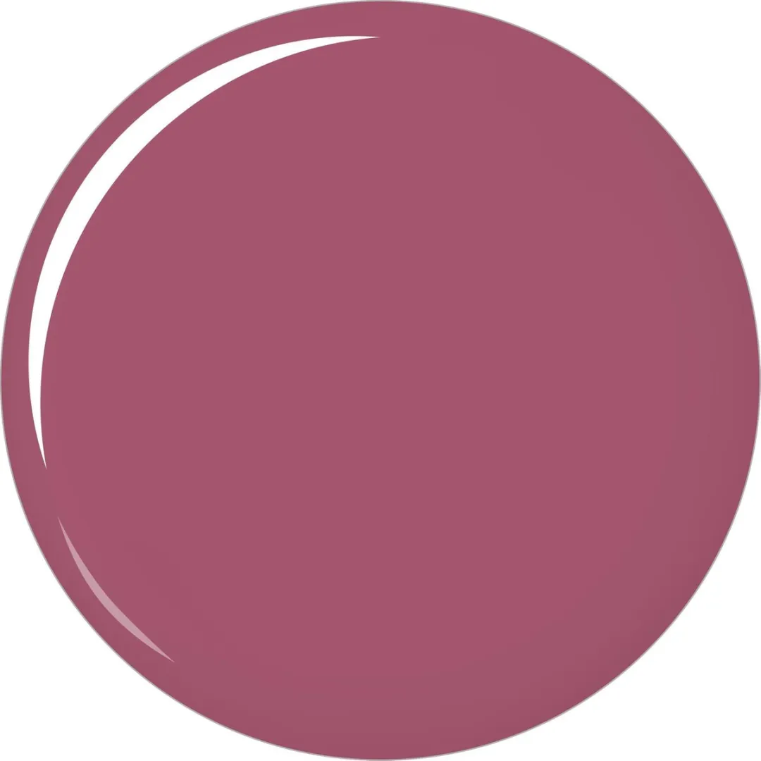 Rimmel London Stay Matte Liquid Lip Colour 810 Plum This Show - 6.5ml