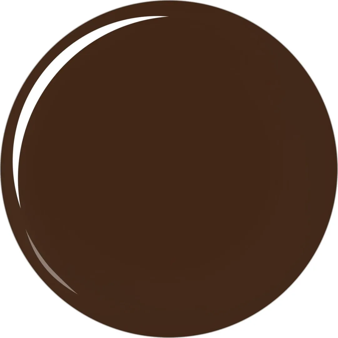 L'Oréal Paris Color Riche L'Atelier Choco Nagellak 667 - 135ml