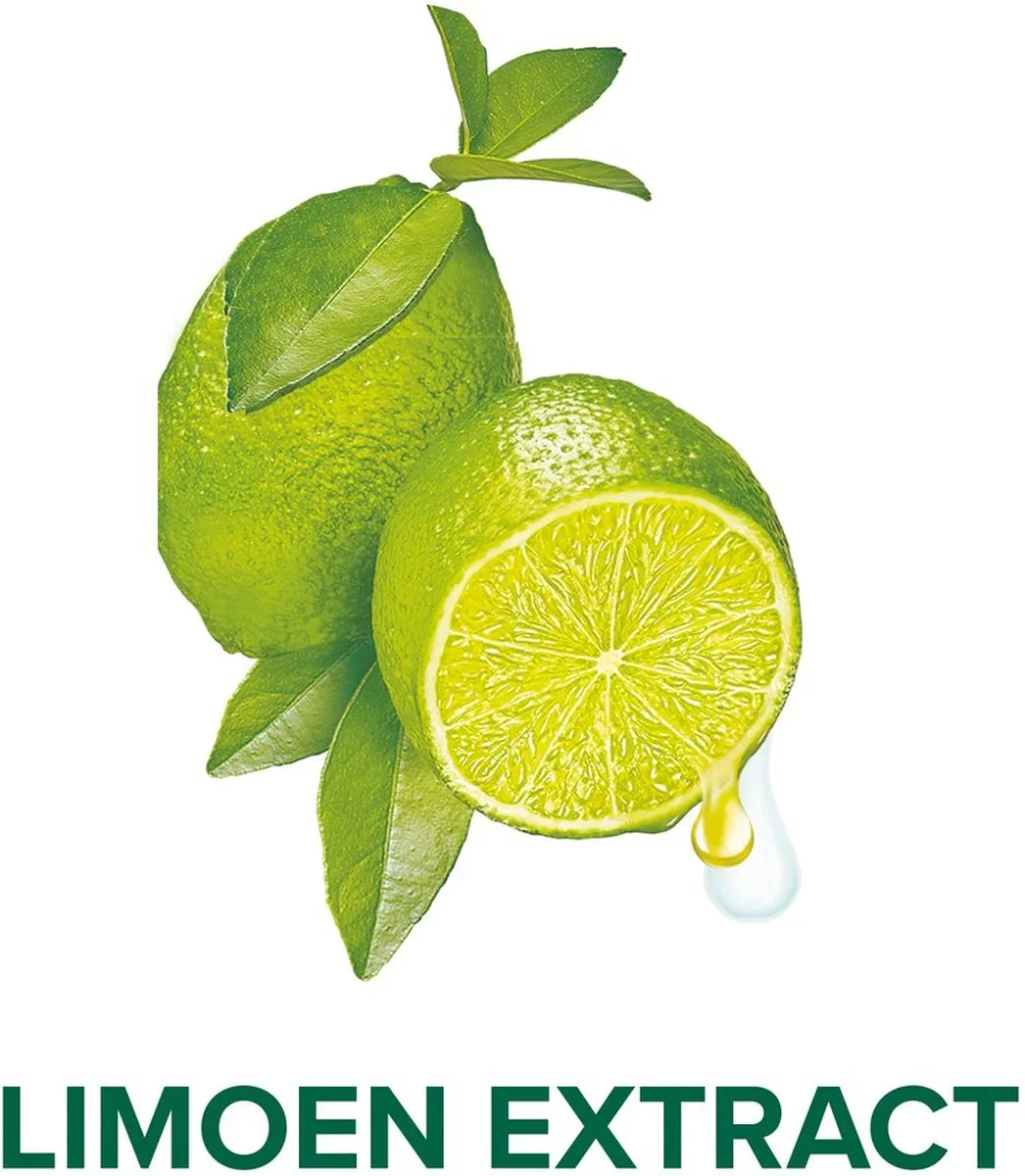 Palmolive Hygiene Plus Kitchen Handzeep 300ml - 12 Stuks - afbeelding 6 van 6