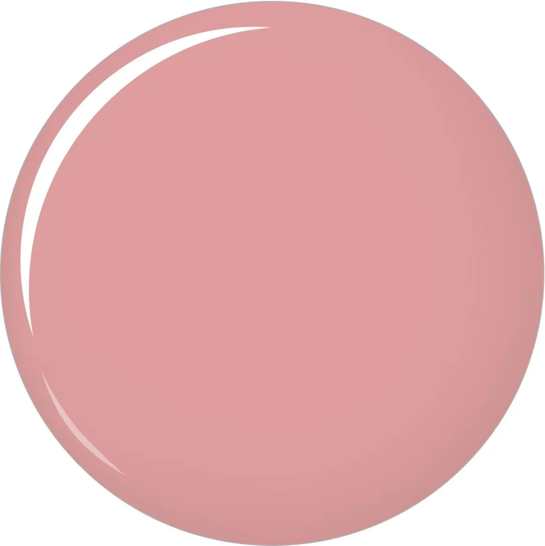 L'Oréal Paris Color Riche Lipstick 303 Rose Tendre