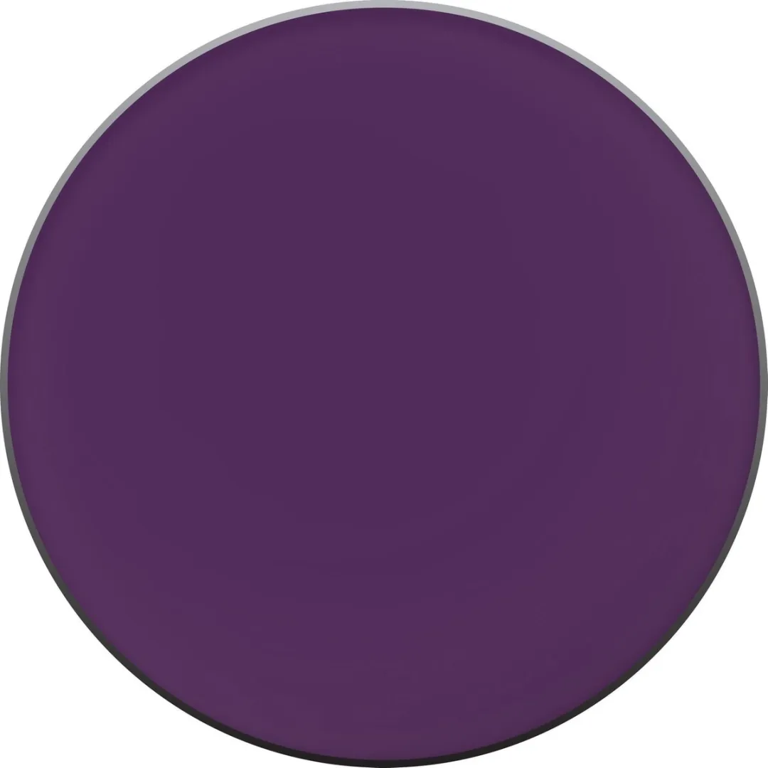 L'Oréal Paris Oogschaduw Mono Purple Disturbia 300 - 2g