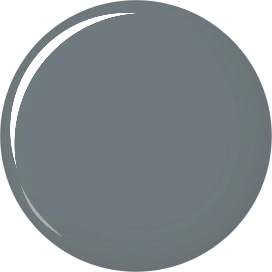 L'Oréal Paris Color Riche Nagellak 621 Paris Avenues - 10g