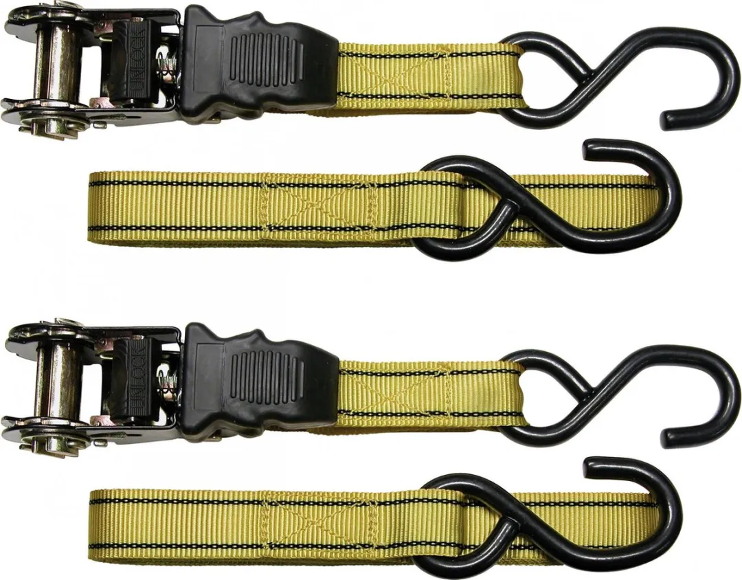 Carpoint Luxe Spanbanden 5m