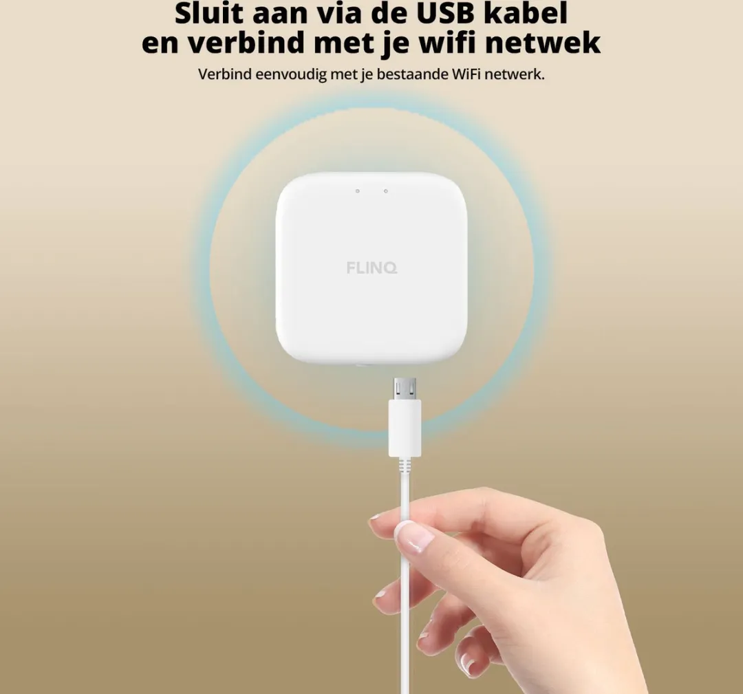 FlinQ Slimme Bridge - Google Assistant & Alexa - Wit